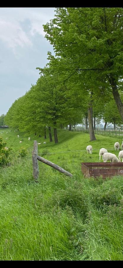 Bungalow Scheldezicht In Zeeland Dicht Bij Zee Scherpenisse エクステリア 写真