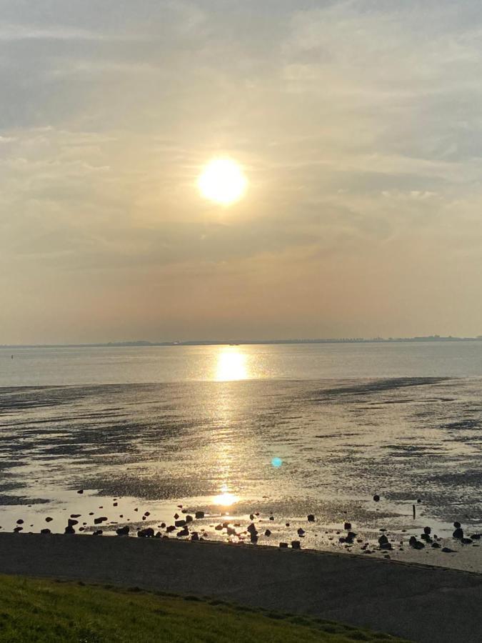 Bungalow Scheldezicht In Zeeland Dicht Bij Zee Scherpenisse エクステリア 写真