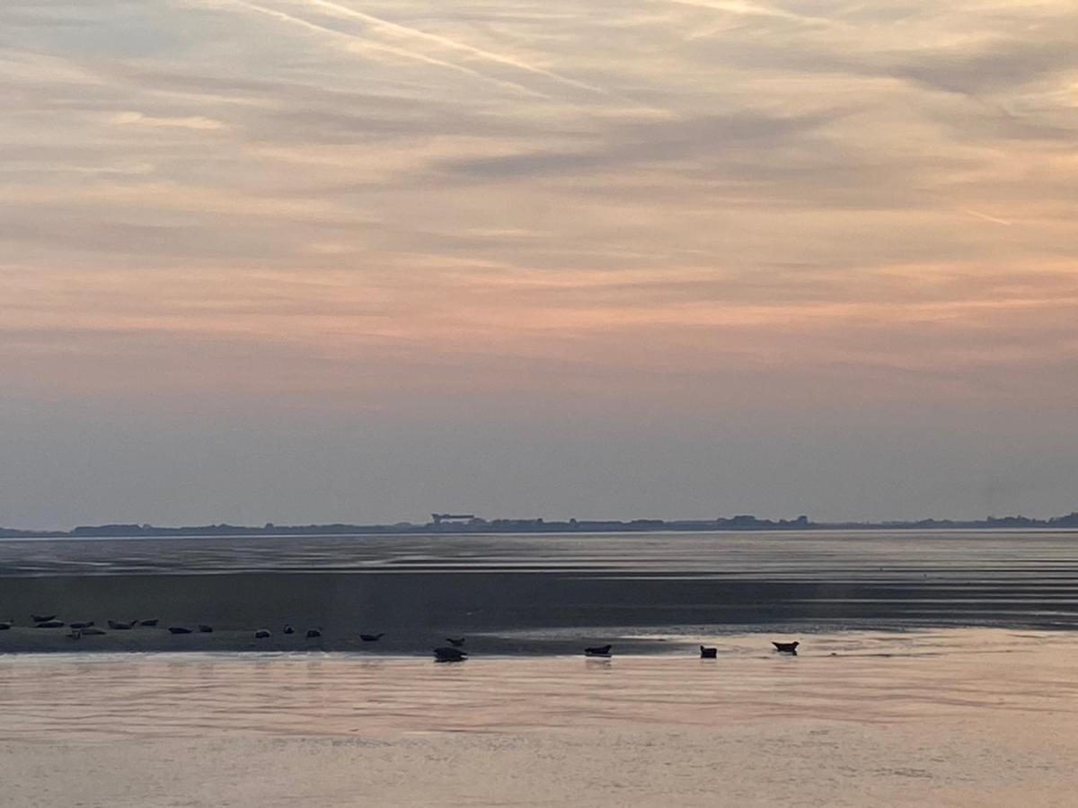 Bungalow Scheldezicht In Zeeland Dicht Bij Zee Scherpenisse エクステリア 写真